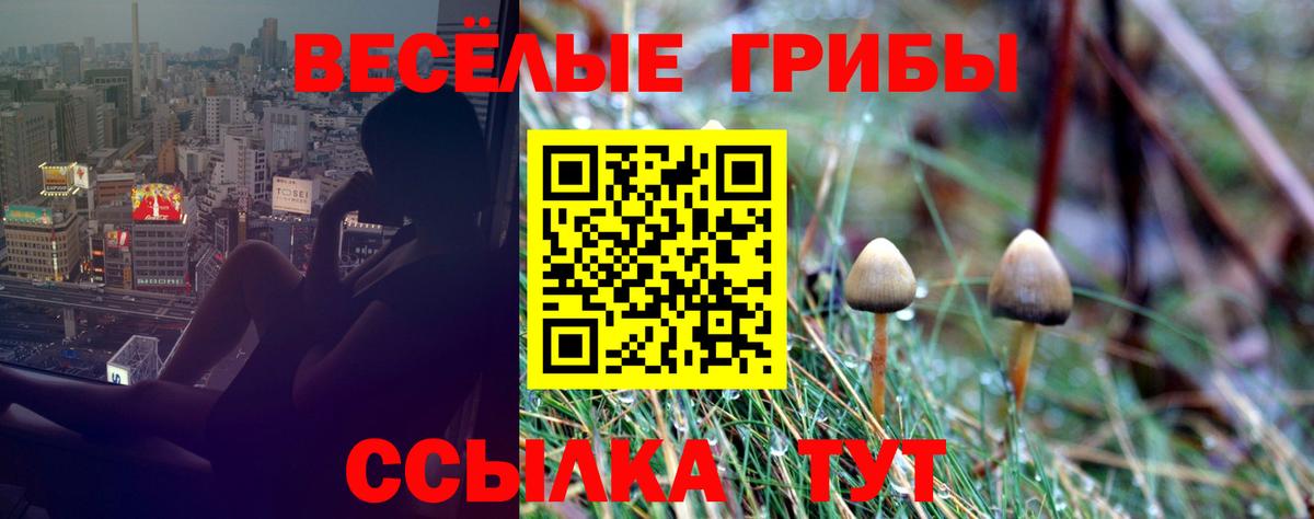 Обь  Галлюциногенные грибы мухоморы  Вход с VPN  Псилоцибиновые грибы Cubensis 