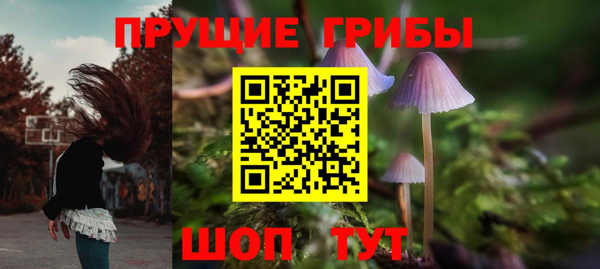 Псилоцибиновые грибы Psilocybe Обь